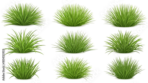 Realistic green long grass tufts isolated on white background,Green Grass Clumps Vector Illustration Collection Isolated on White .