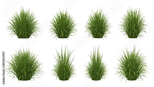 Realistic green long grass tufts isolated on white background , Collection of realistic 3D rendered green grass tufts isolated on white.