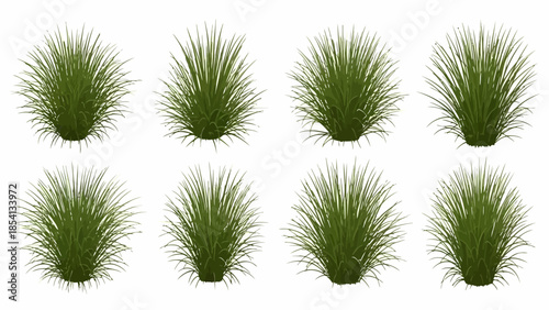 Realistic green long grass tufts isolated on white background ,Isolated Green Grass Tufts for Digital Landscape and Architectural Designs.