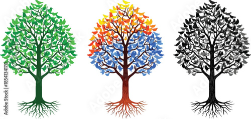 Tree life cycle stages growth change and decay