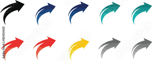 Colorful bird feathers in various shades and colors