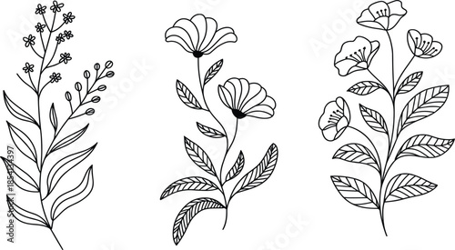 Set of hand drawn black line art floral branches with elegant leaves and blooming wildflower blossoms