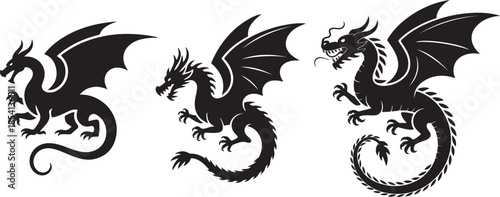 Set of Dragon Silhouette Vector Illustration, Black and White