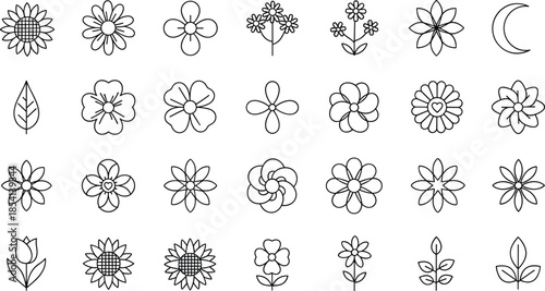 Botanical line art, floral illustration, black and white flowers, stylized petals, nature design, decorative elements, leaves, crescent moon, symmetry, elegance