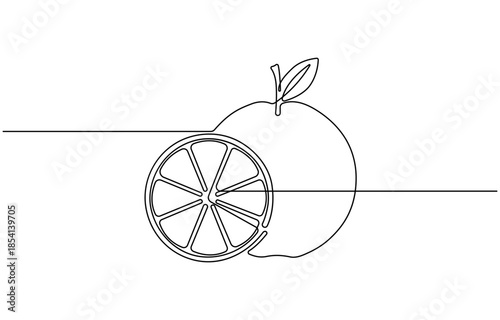 Continuous single line drawing of orange fruit.