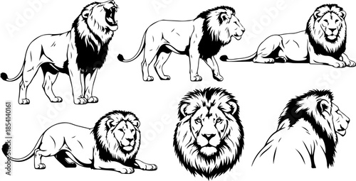 Majestic Lion Silhouette Vector Illustration