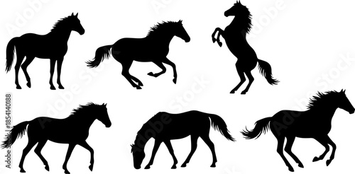 Rearing Black Horse Silhouette Vector Illustration