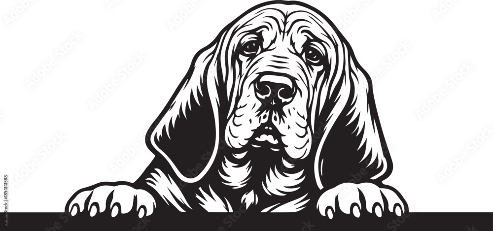 custom made wallpaper toronto digitalpeeking bloodhound dog