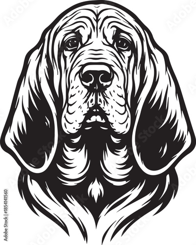 bloodhound dog portrait