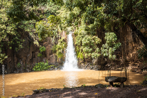 tropical botanical garden in Hawaii with exotic rainforest, waterfalls and plants 