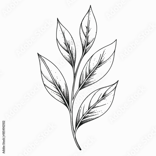Dotwork Botanical Leaf Branch – Monochrome Stipple Illustration