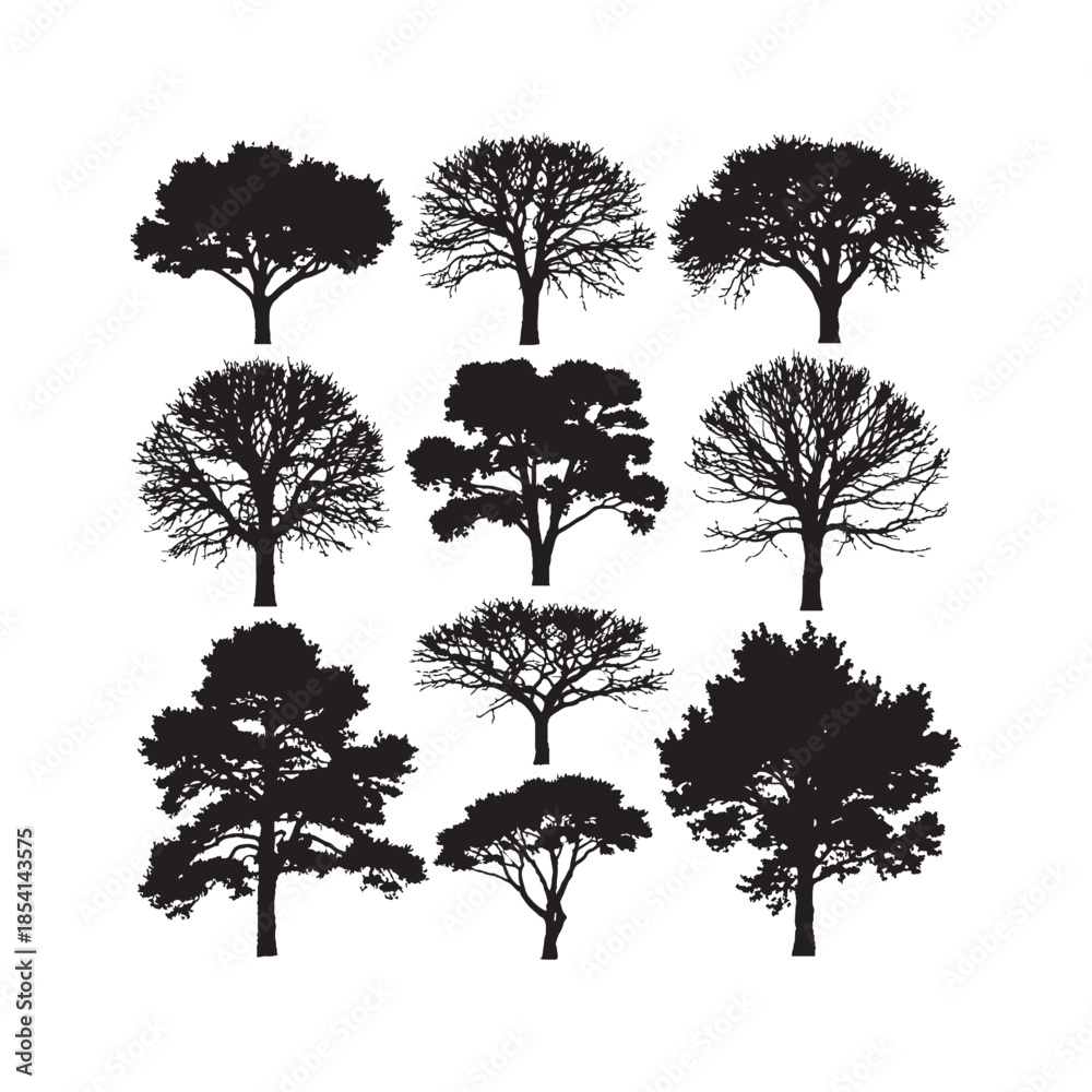 Fototapeta premium Different Species Showing Unique Branching Patterns, Canopy Structures, Foliage Silhouettes Collection