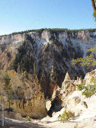 Rugged Yellow Cliffs and Pine Trees in Yellowstone Canyon