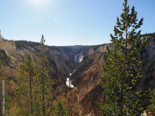Lower Falls Framed by Pine Trees at Artist Point