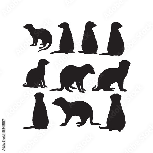 Meerkat Silhouettes Collection

