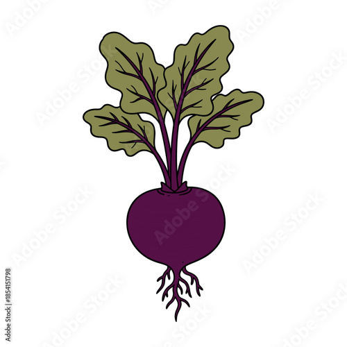 A purple beetroot with green leafy tops and visible roots, drawn in a colorful and detailed vector style.