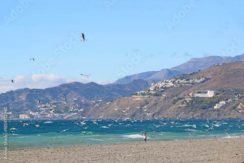 Salobreña beach in Andalucia, Spain