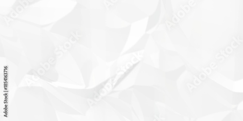 White crease billboard paper rough obsolete wrinkle. Cardboard paper white crumpled satin fabric ripped cloth decoration background