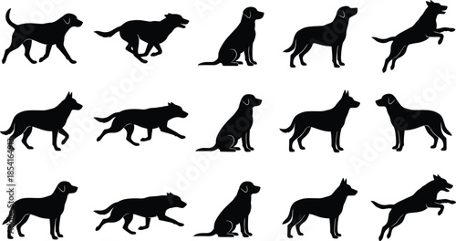 Silhouettes of dogs in motion, black canine figures, sitting, standing, running, jumping, lying down, posture variety, behavior study, white background