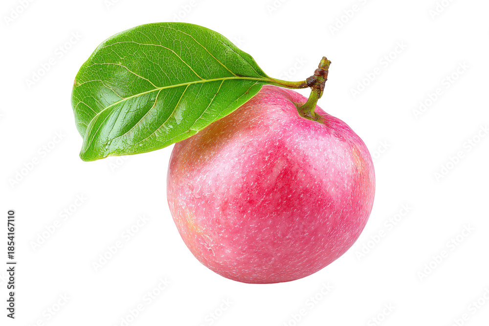 Fototapeta premium Single ripe pink guava fruit with green leaf isolated on transparent background. Ripe pink apple with a green leaf isolated on white background.