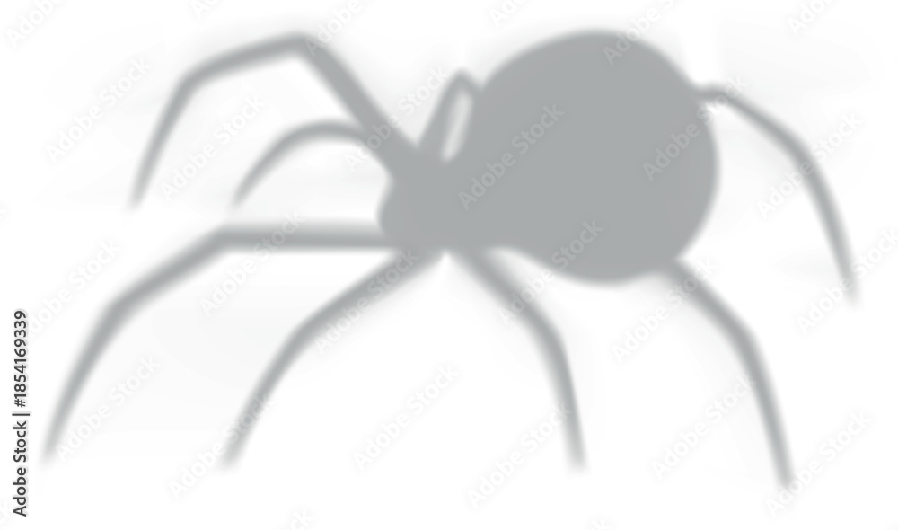 Obraz premium Spider vector illustration, cartoon scary gray shadow of insect, wildlife fauna, Halloween decoration