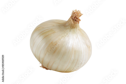 Wallpaper Mural Single white onion isolated on transparent background. Fresh white onion isolated on white background. Torontodigital.ca