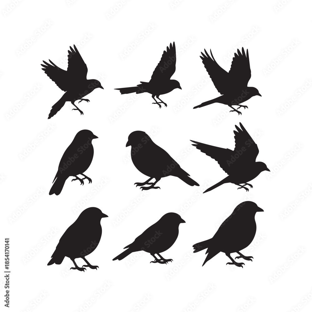 Naklejka premium Bird Silhouettes Collection