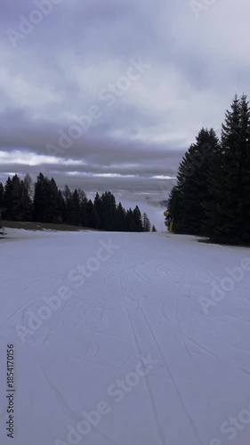 Empty Ski Slope with Pine Trees and Foggy Valley View, Overcast Winter Weather, Groomed Piste for Alpine Skiing, Moody Mountain Landscape, Copy Space Background, Vertical Nature Video