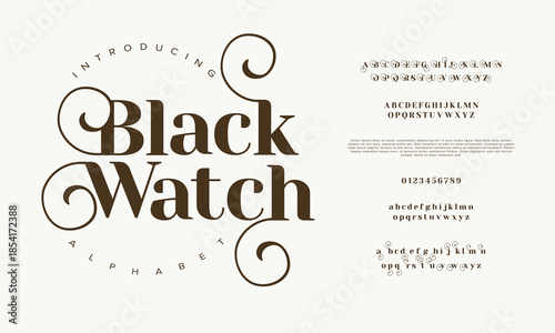 Elegant Font Uppercase Lowercase Number And Ampersand. Classic Lettering Minimal Fashion Designs. Typography modern serif fonts regular decorative vintage concept. vector illustration