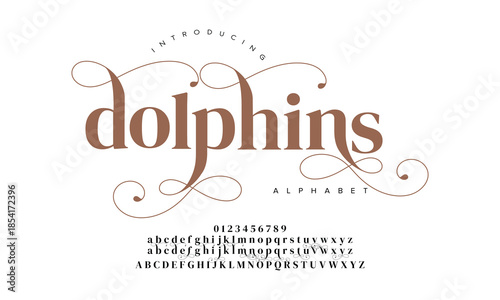 Elegant wedding alphabet letters font and number. Typography luxury classic lettering serif fonts decorative vintage retro concept. vector illustration