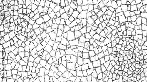 Black and white cracked surface texture with irregular polygonal shapes pattern broken