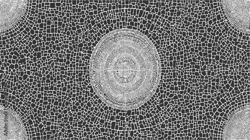 Black and white abstract pattern with concentric circles and irregular shapes texture