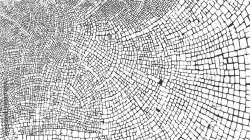 Black and white abstract organic pattern resembling wood grain or cellular structure texture