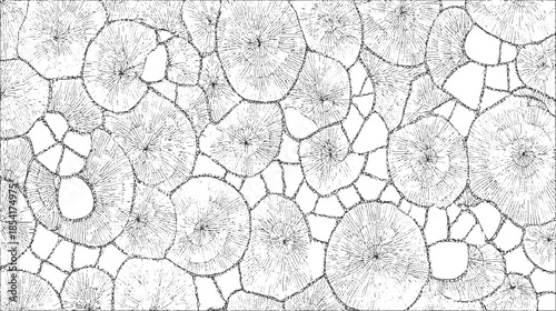 Black and white of radiating circular patterns within irregular polygonal shapes abstract texture