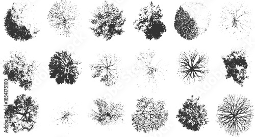 Collection of black and white view tree silhouettes with varied textures and branch patterns overhead