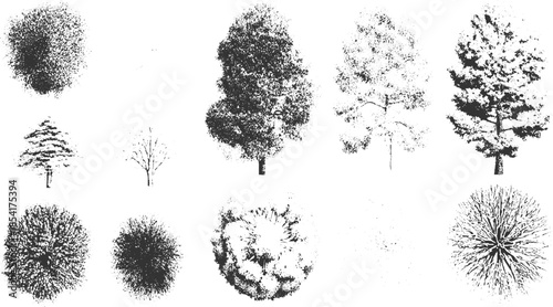 Collection of ten black and white textured tree and silhouettes trees