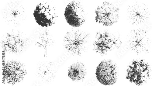 Collection of fifteen black and white view tree and silhouettes