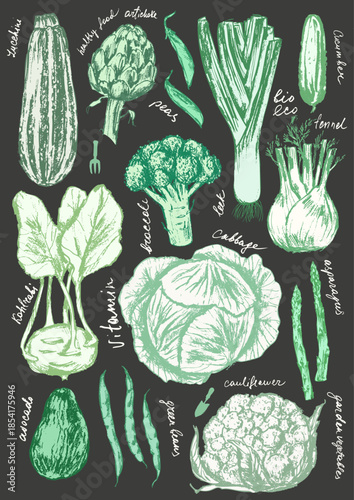 Hand drawn colored chalk vegetable sketches set. Zucchini, artichoke, leek, cucumber, cabbage, kohlrabi, broccoli, cauliflower, avocado.