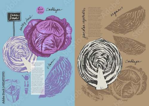 Hand drawn ink red cabbage vegetable sketches set. Food drawings for labels and packaging. Vegetarian menu.