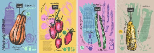 Hand drawn ink butternut squash, tomato, asparagus, corn vegetable background set. Food drawings for labels and packaging. Vegetarian menu. Healthy diet.