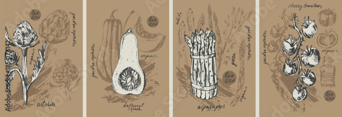 Hand drawn ink artichoke, asparagus, tomato, butternut squash vegetable background set. Food drawings for labels and packaging. Vegetarian menu. Healthy diet.