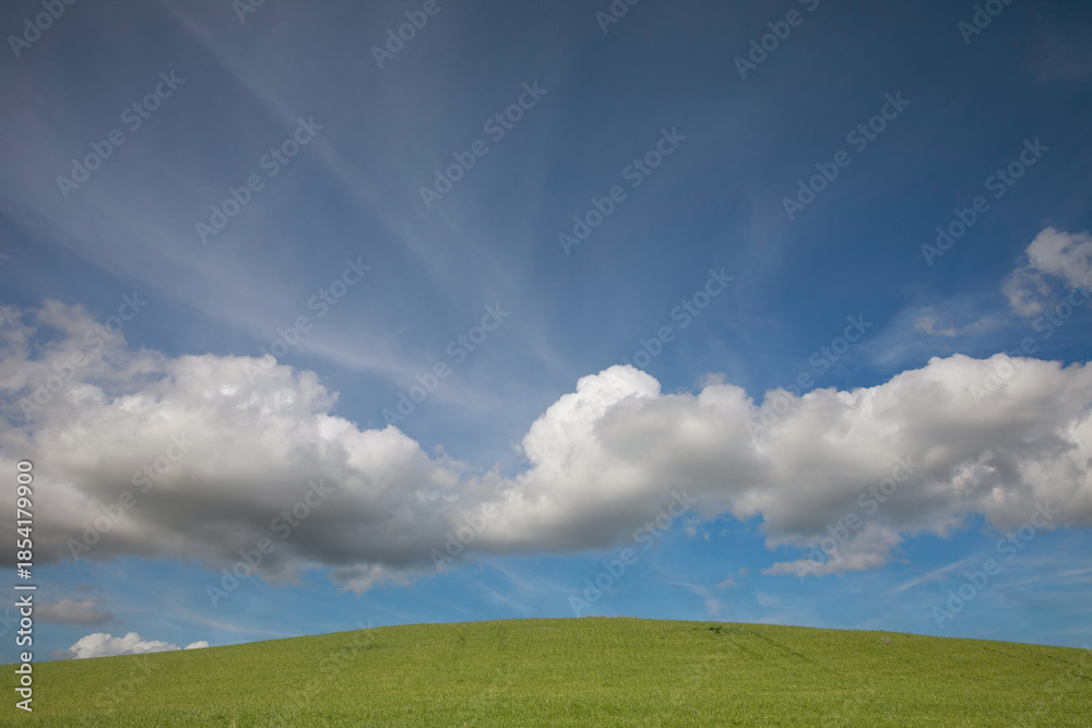 Fototapeta premium Agricultural field between Hørsholm and Birkerød in Denmark in the summer