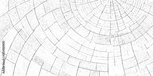 Abstract radial pattern of black lines and dots on white background concentric