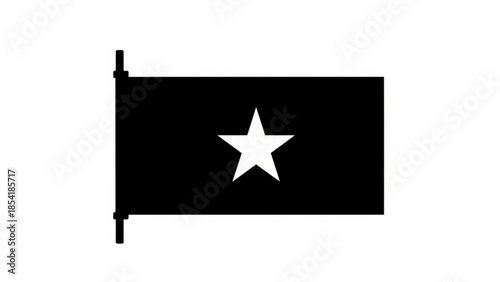 Black flag with white star on a pole