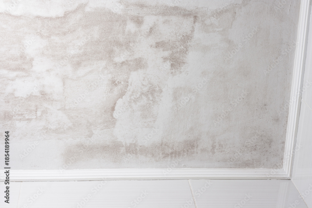 Φωτογραφία Mold and mildew on the ceiling, ceramic tile walls