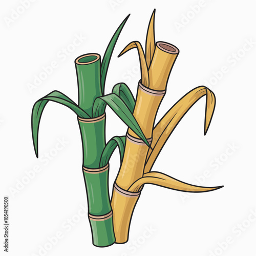 Illustration of sugarcane ranked as premium agricultural produce, isolated on white background, designed for packaging labels of processed sugarcane food and beverage products.