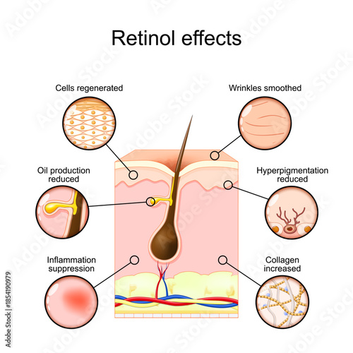 Retinol effects. Vitamin A for skincare. Skin rejuvenation