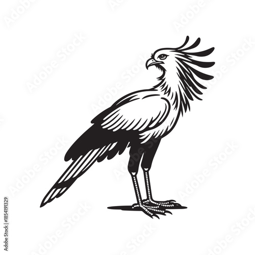 Majestic bird of prey with outstretched feathers