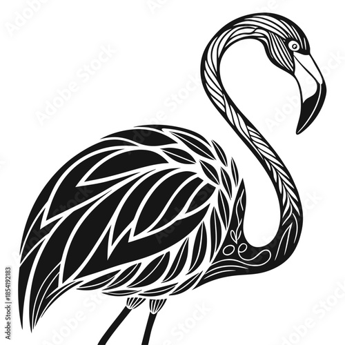 Placeholder image display