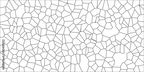 Abstract Voronoi Pattern Geometric Tessellation Black Lines on White Background Organic Cell Structure Background